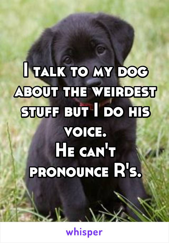 I talk to my dog about the weirdest stuff but I do his voice.
He can't pronounce R's.