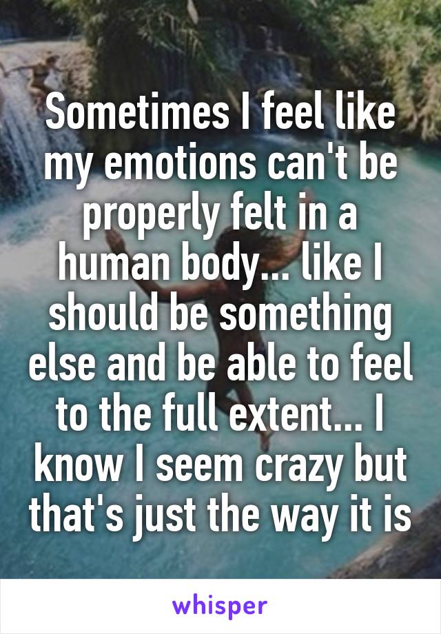 Sometimes I feel like my emotions can't be properly felt in a human body... like I should be something else and be able to feel to the full extent... I know I seem crazy but that's just the way it is