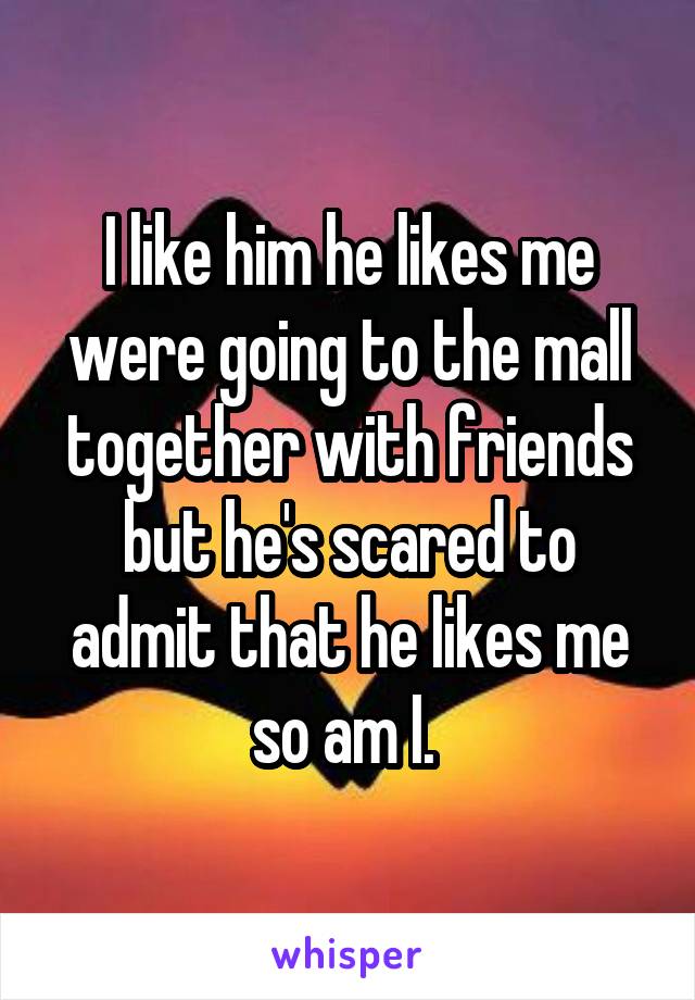 I like him he likes me were going to the mall together with friends but he's scared to admit that he likes me so am I. 