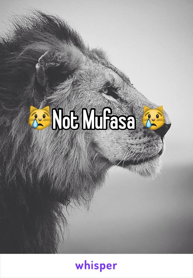 😿Not Mufasa 😿