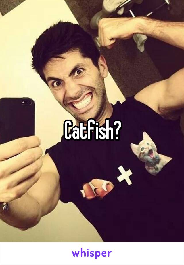 Catfish?