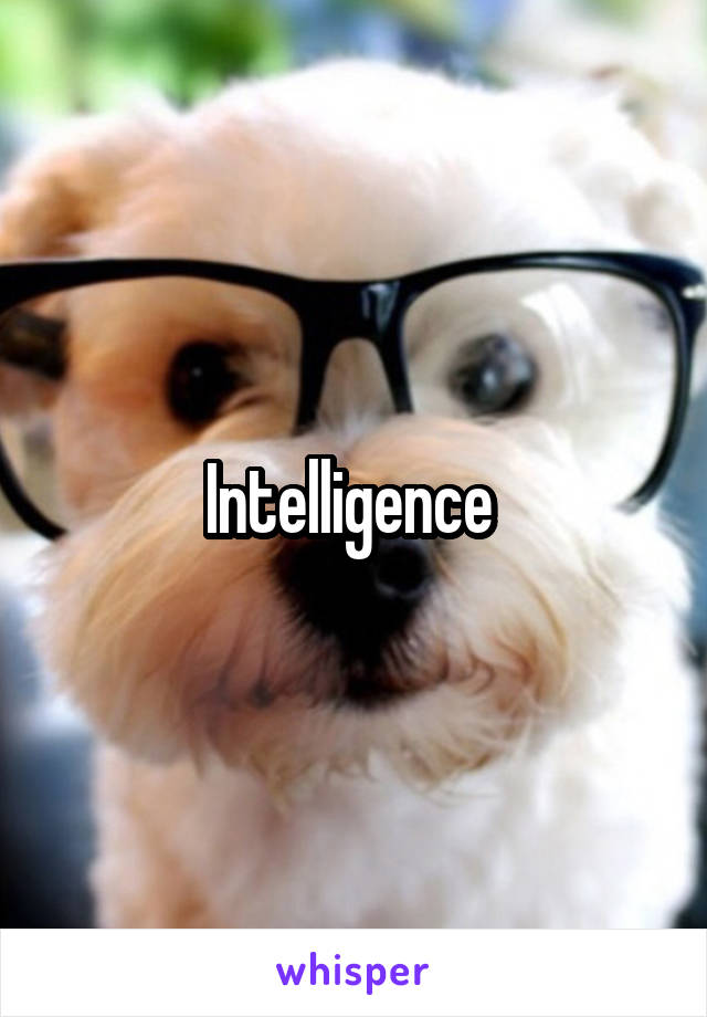 Intelligence 