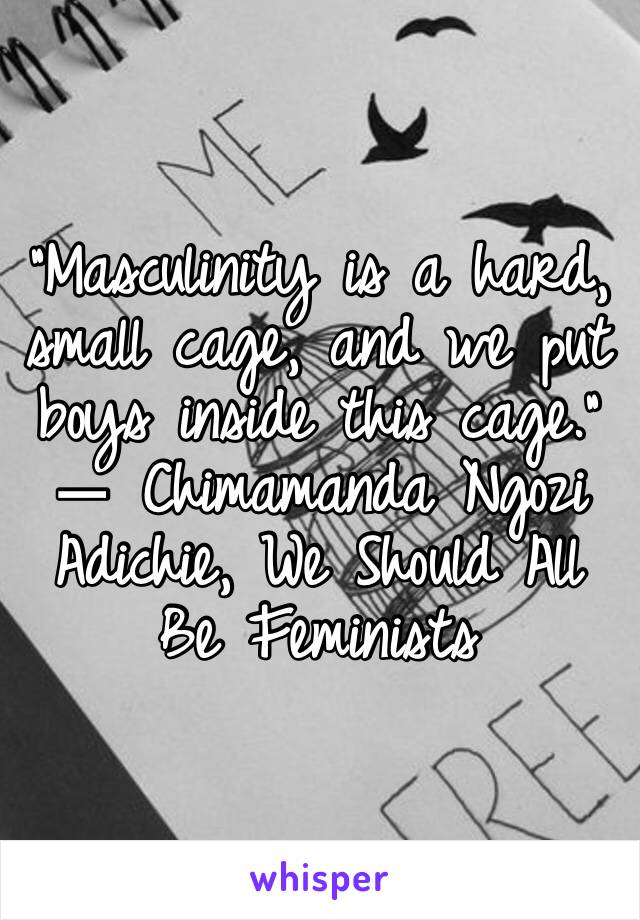 “Masculinity is a hard, small cage, and we put boys inside this cage.” 
― Chimamanda Ngozi Adichie, We Should All Be Feminists