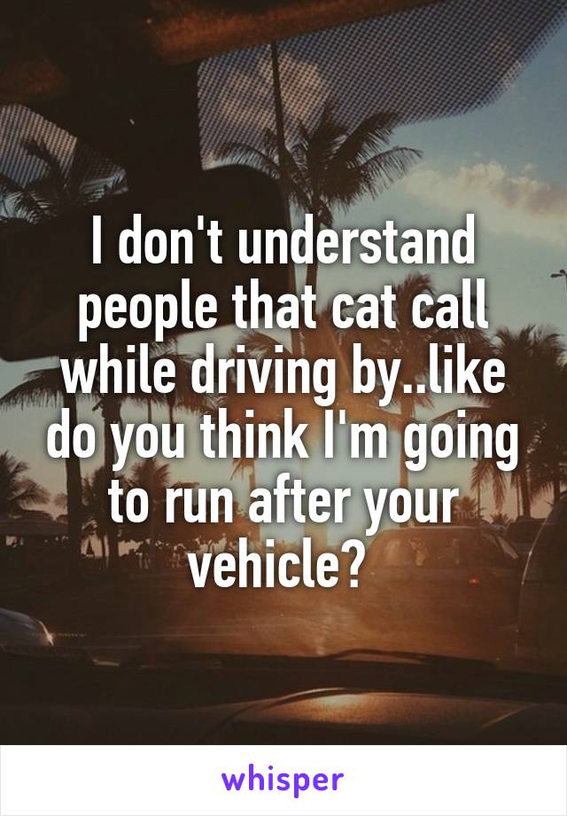 I don't understand people that cat call while driving by..like do you think I'm going to run after your vehicle? 