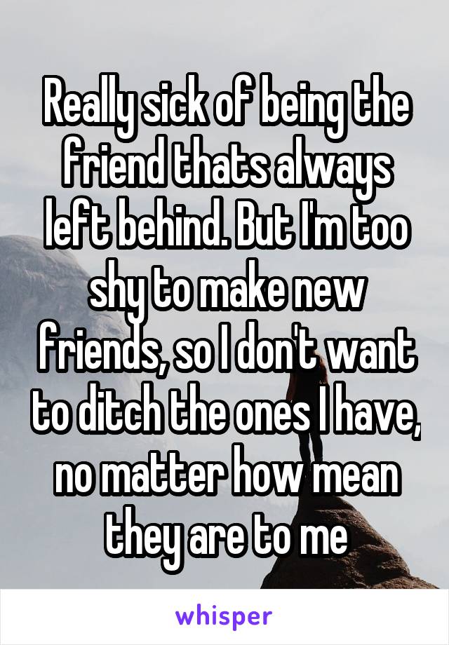 Really sick of being the friend thats always left behind. But I'm too shy to make new friends, so I don't want to ditch the ones I have, no matter how mean they are to me