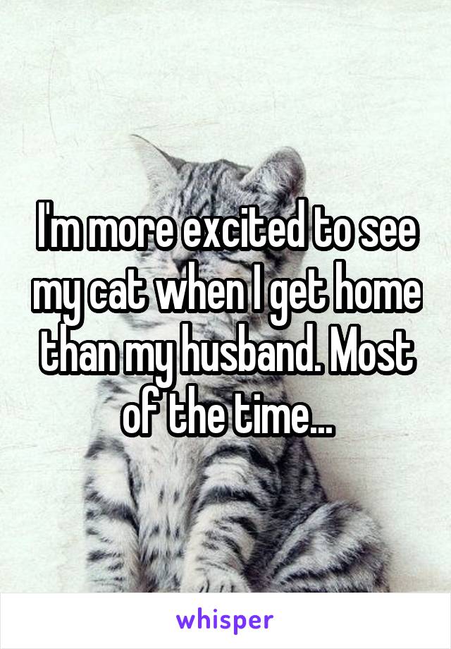 I'm more excited to see my cat when I get home than my husband. Most of the time...