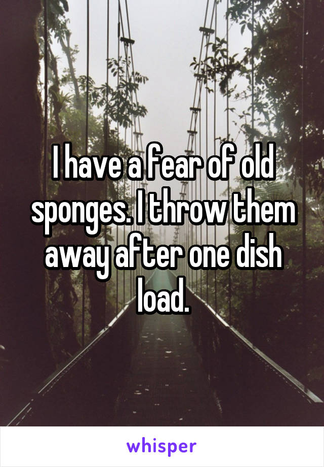 I have a fear of old sponges. I throw them away after one dish load.