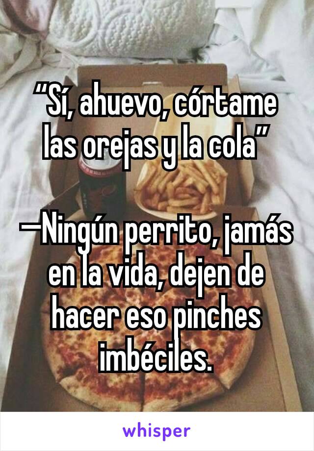 “Sí, ahuevo, córtame las orejas y la cola”

—Ningún perrito, jamás en la vida, dejen de hacer eso pinches imbéciles.