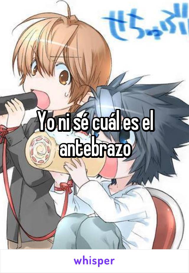 Yo ni sé cuál es el antebrazo