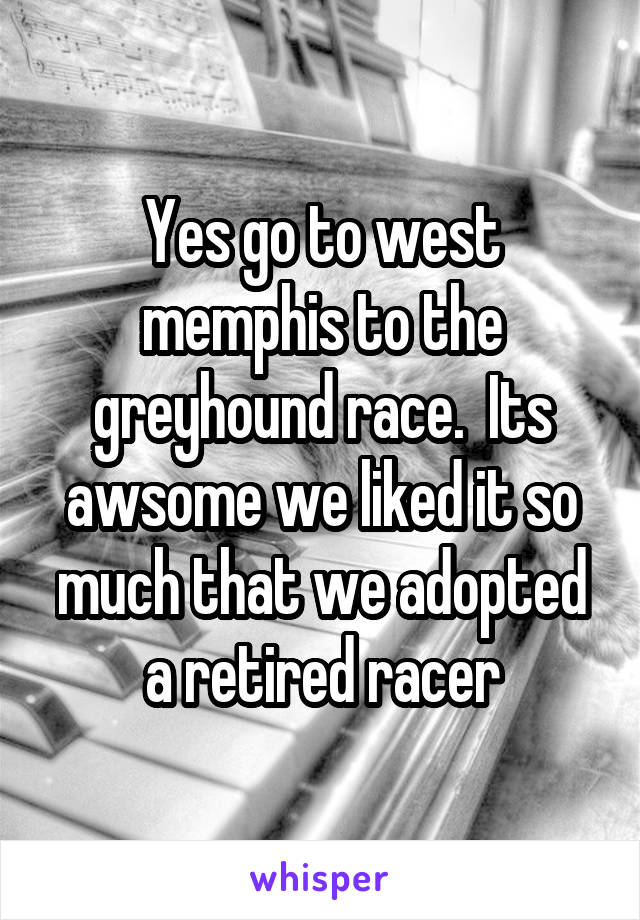 Yes go to west memphis to the greyhound race.  Its awsome we liked it so much that we adopted a retired racer