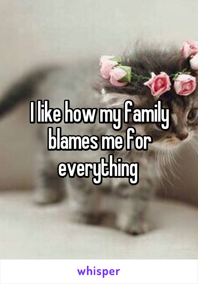 I like how my family blames me for everything 