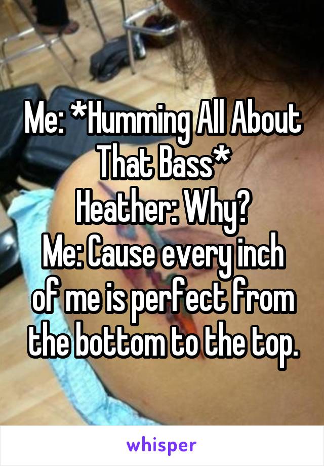 Me: *Humming All About That Bass*
Heather: Why?
Me: Cause every inch of me is perfect from the bottom to the top.