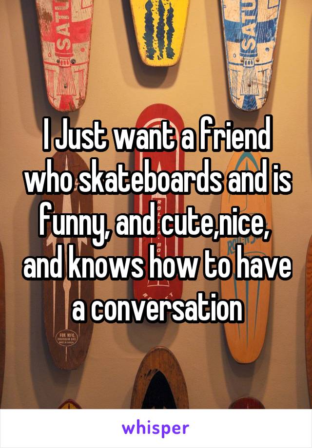 I Just want a friend who skateboards and is funny, and cute,nice,  and knows how to have a conversation