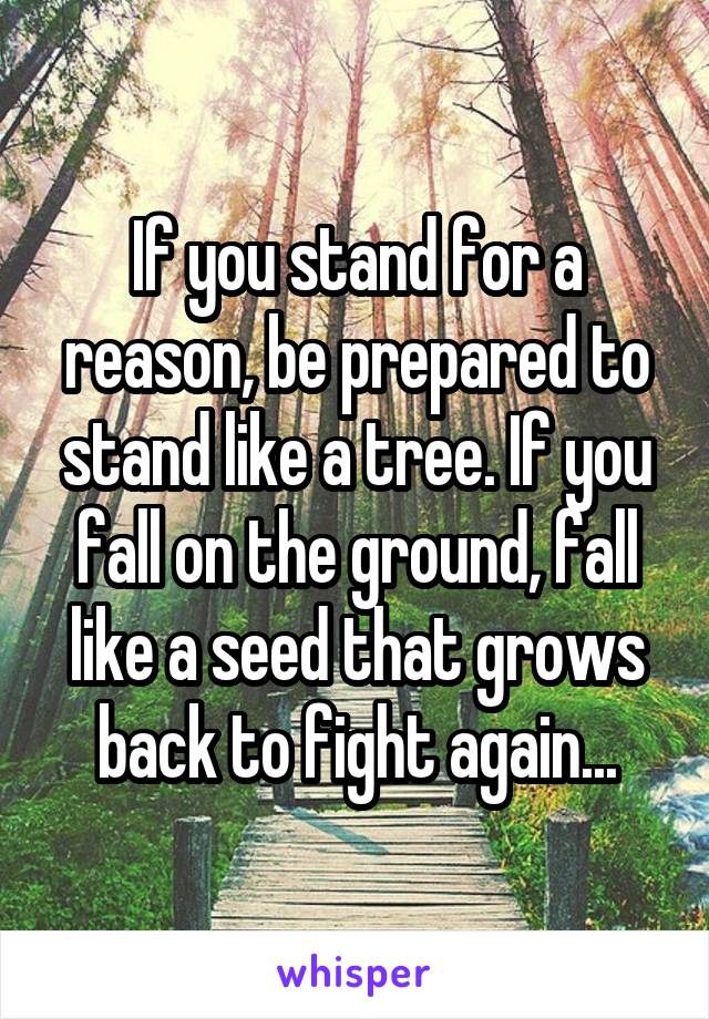 If you stand for a reason, be prepared to stand like a tree. If you fall on the ground, fall like a seed that grows back to fight again...