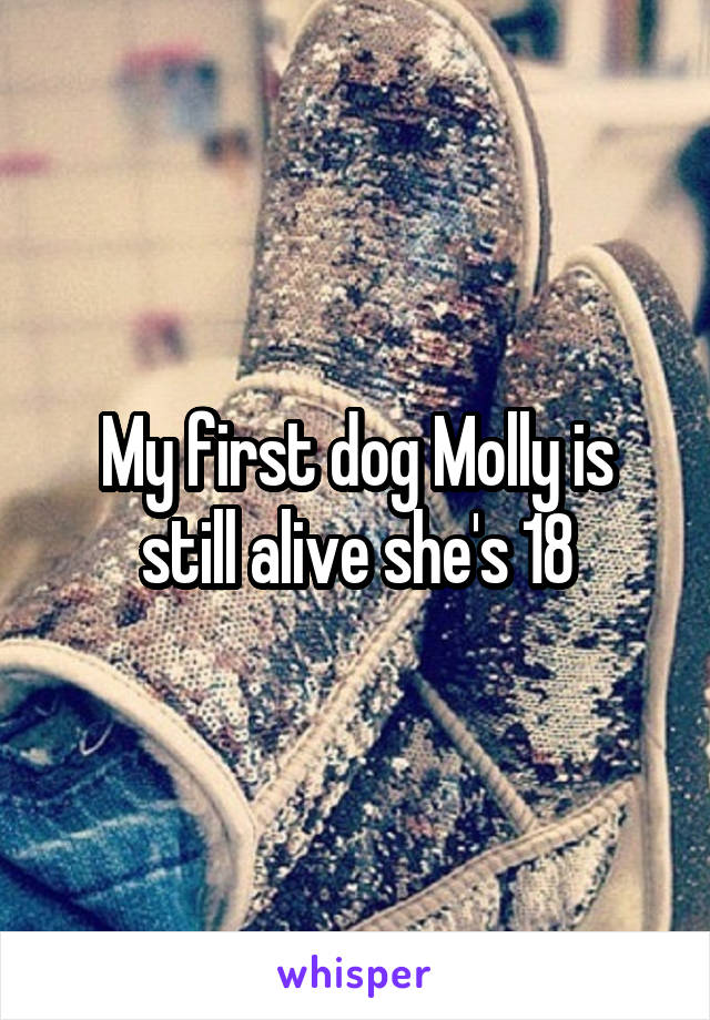 My first dog Molly is still alive she's 18