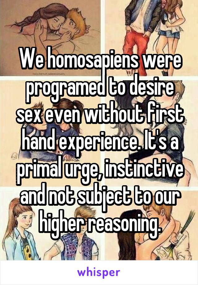 We homosapiens were programed to desire sex even without first hand experience. It's a primal urge, instinctive and not subject to our higher reasoning.