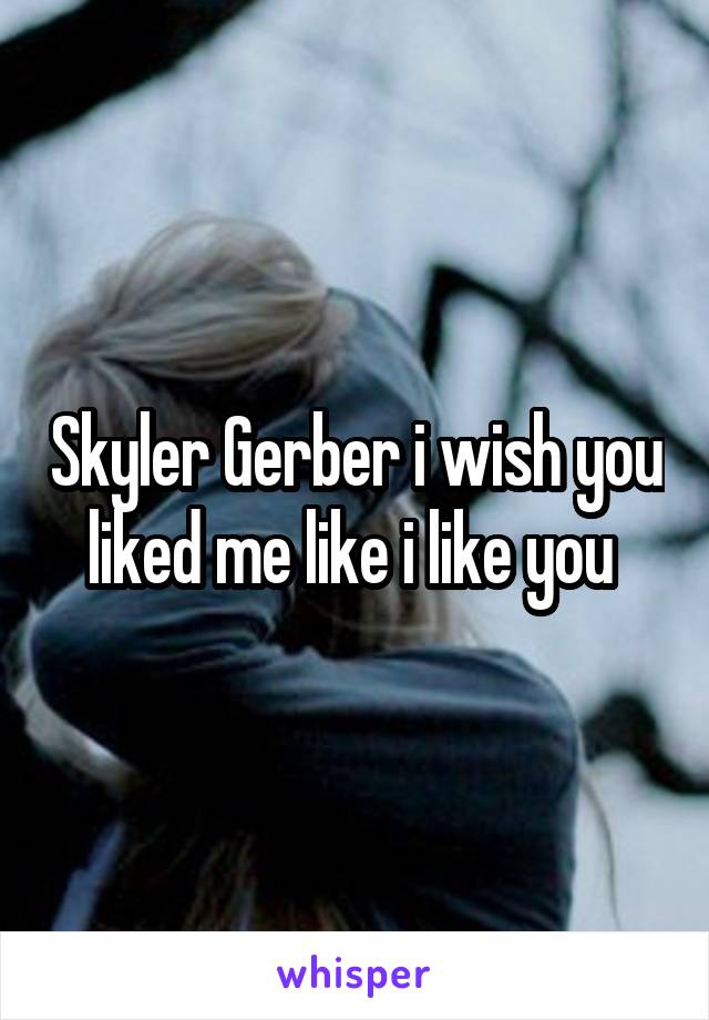 Skyler Gerber i wish you liked me like i like you 