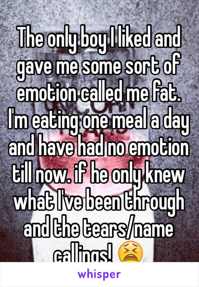 The only boy I liked and gave me some sort of emotion called me fat. I'm eating one meal a day and have had no emotion till now. if he only knew what I've been through and the tears/name callings! 😫