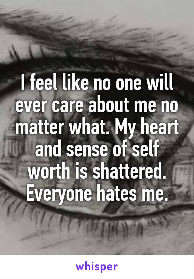 I feel like no one will ever care about me no matter what. My heart and sense of self worth is shattered. Everyone hates me.