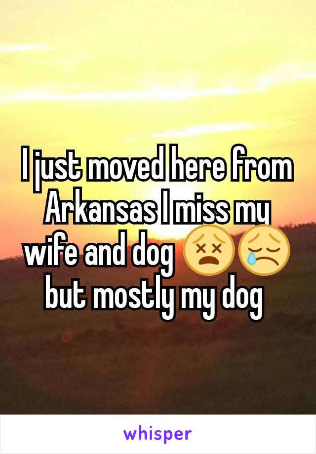 I just moved here from Arkansas I miss my wife and dog 😵😢 but mostly my dog 