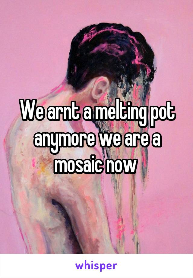 We arnt a melting pot anymore we are a mosaic now 