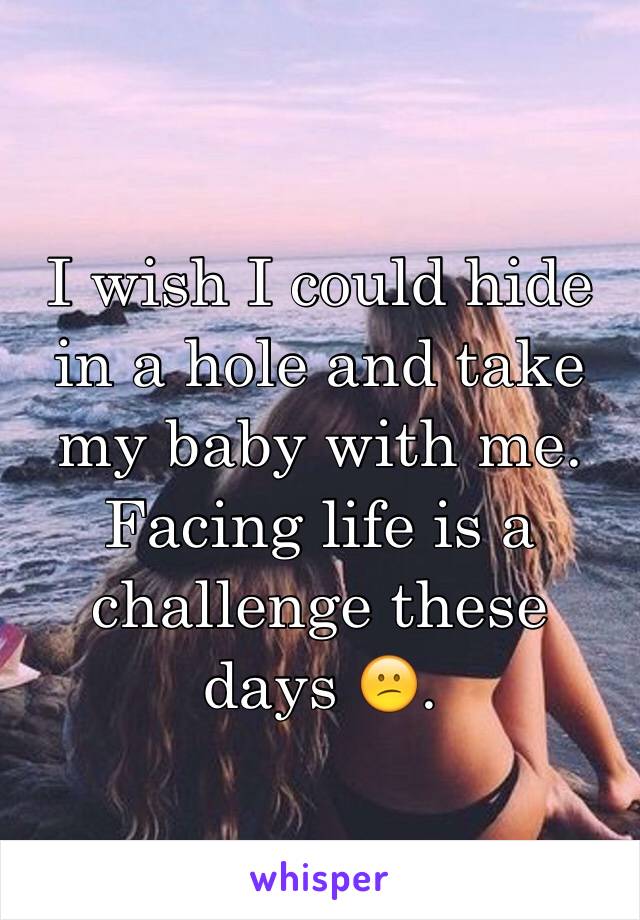 I wish I could hide in a hole and take my baby with me. Facing life is a challenge these days 😕. 