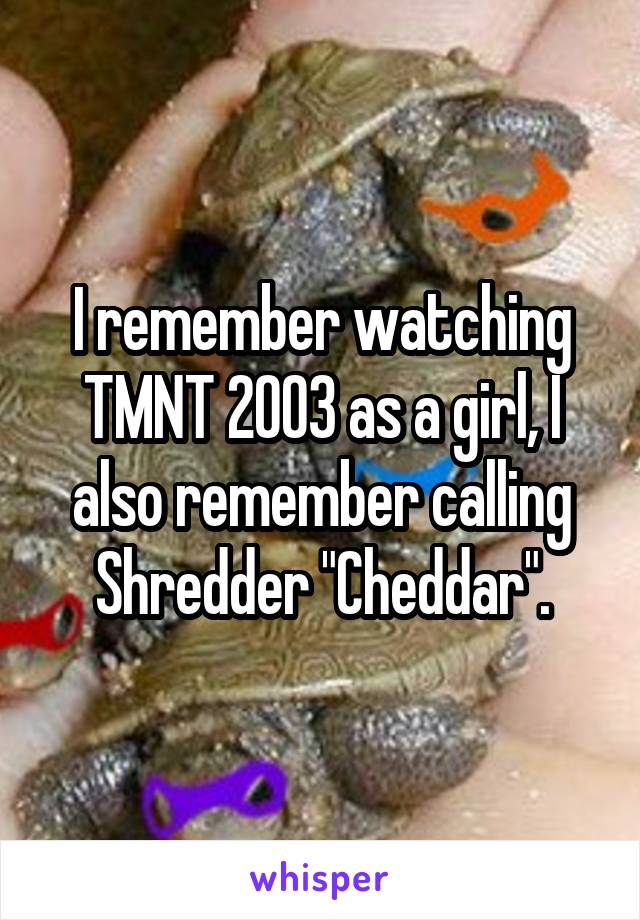 I remember watching TMNT 2003 as a girl, I also remember calling Shredder "Cheddar".