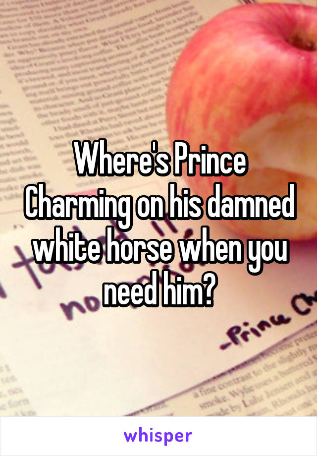 Where's Prince Charming on his damned white horse when you need him?