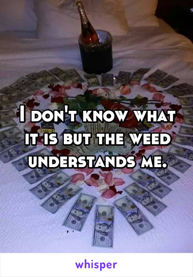 I don't know what it is but the weed understands me.