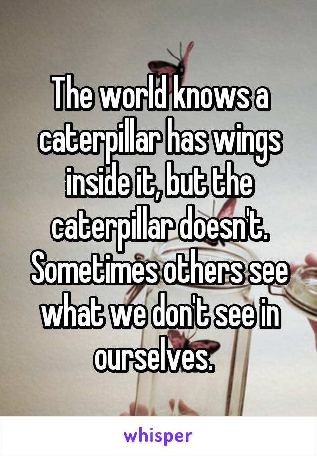 The world knows a caterpillar has wings inside it, but the caterpillar doesn't. Sometimes others see what we don't see in ourselves.  