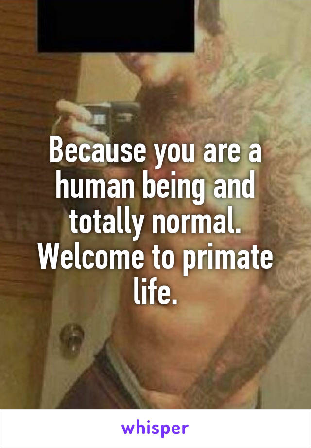 Because you are a human being and totally normal. Welcome to primate life.