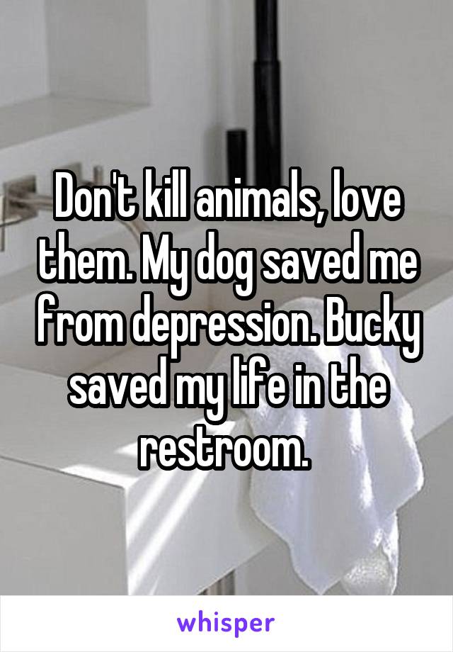 Don't kill animals, love them. My dog saved me from depression. Bucky saved my life in the restroom. 