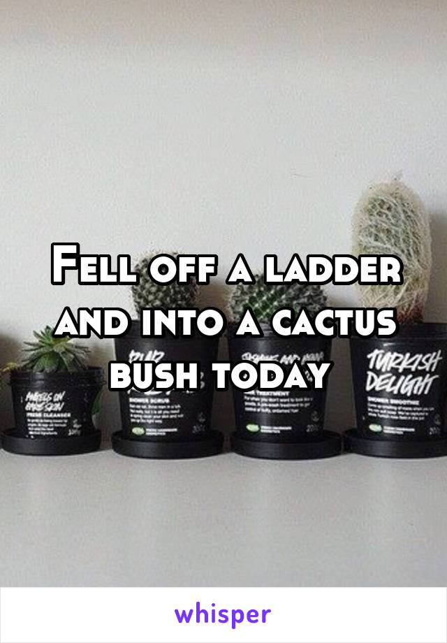 Fell off a ladder and into a cactus bush today 