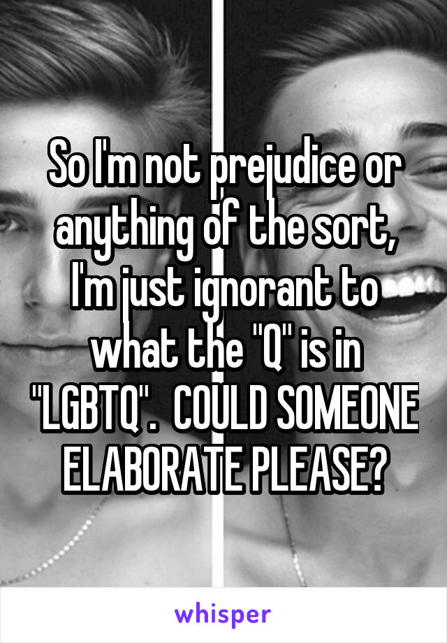 So I'm not prejudice or anything of the sort, I'm just ignorant to what the "Q" is in "LGBTQ".  COULD SOMEONE ELABORATE PLEASE?