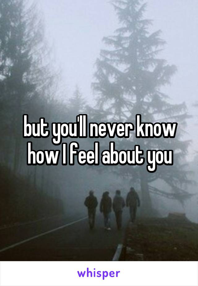 but you'll never know how I feel about you