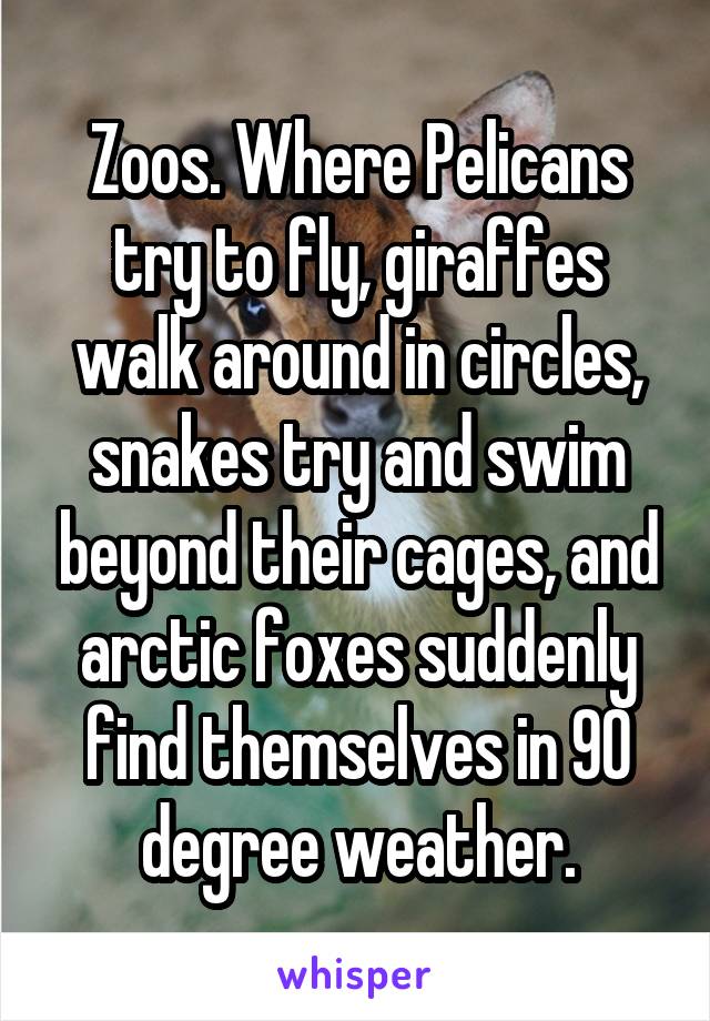 Zoos. Where Pelicans try to fly, giraffes walk around in circles, snakes try and swim beyond their cages, and arctic foxes suddenly find themselves in 90 degree weather.