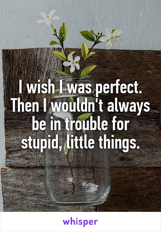 I wish I was perfect. Then I wouldn't always be in trouble for stupid, little things.