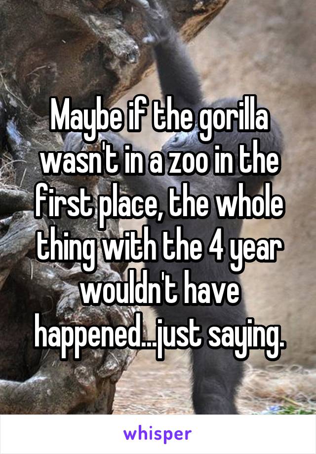 Maybe if the gorilla wasn't in a zoo in the first place, the whole thing with the 4 year wouldn't have happened...just saying.