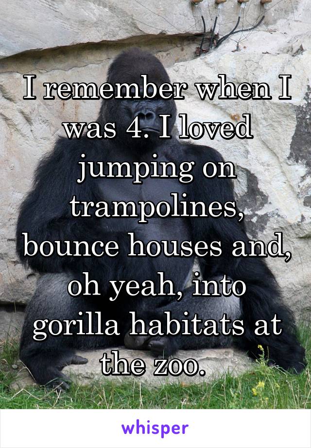 I remember when I was 4. I loved jumping on trampolines, bounce houses and, oh yeah, into gorilla habitats at the zoo. 