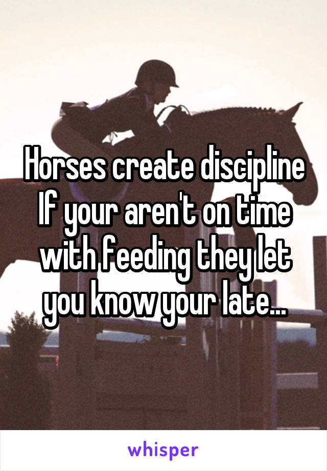 Horses create discipline
If your aren't on time with feeding they let you know your late...