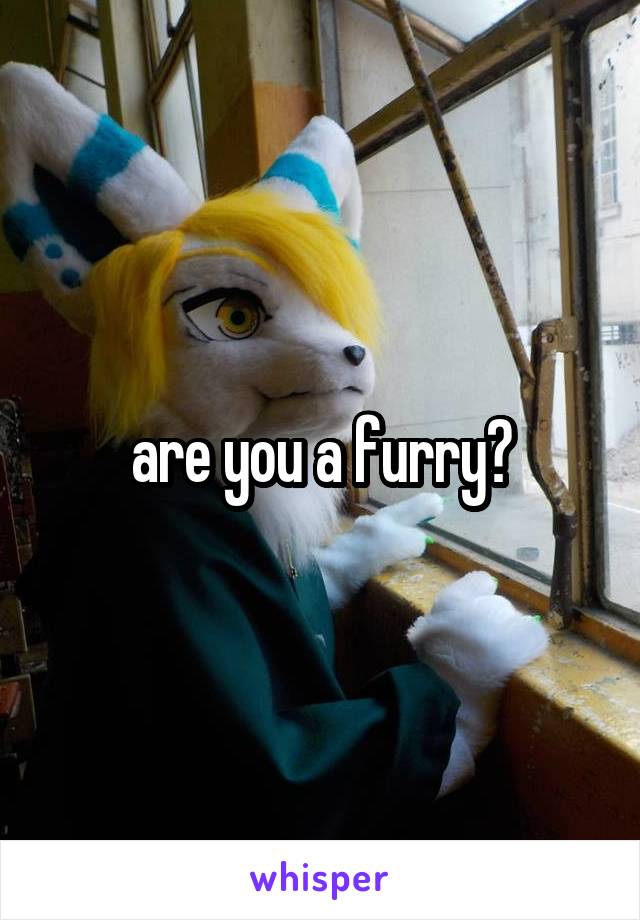 are you a furry?