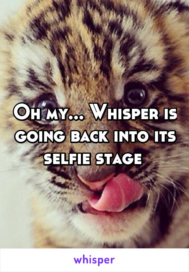 Oh my... Whisper is going back into its selfie stage 