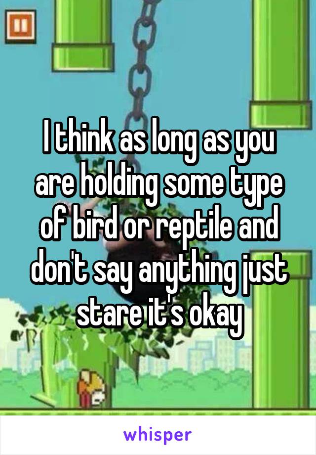 I think as long as you are holding some type of bird or reptile and don't say anything just stare it's okay