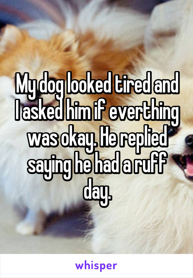 My dog looked tired and I asked him if everthing was okay. He replied saying he had a ruff day.