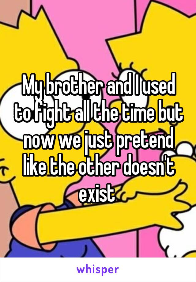 My brother and I used to fight all the time but now we just pretend like the other doesn't exist 