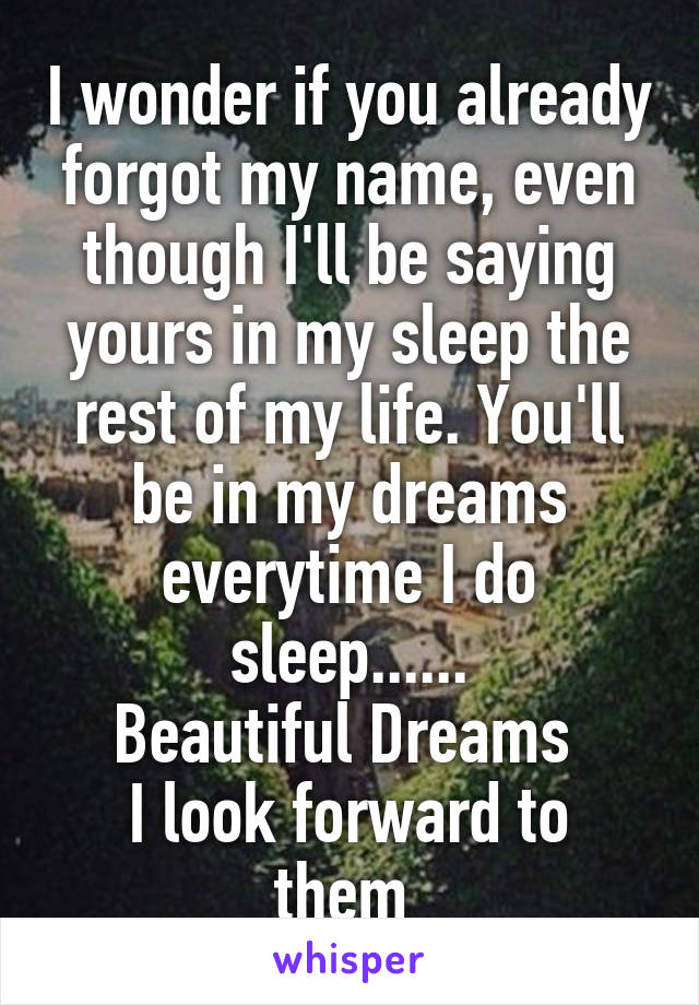 I wonder if you already forgot my name, even though I'll be saying yours in my sleep the rest of my life. You'll be in my dreams everytime I do sleep......
Beautiful Dreams 
I look forward to them 