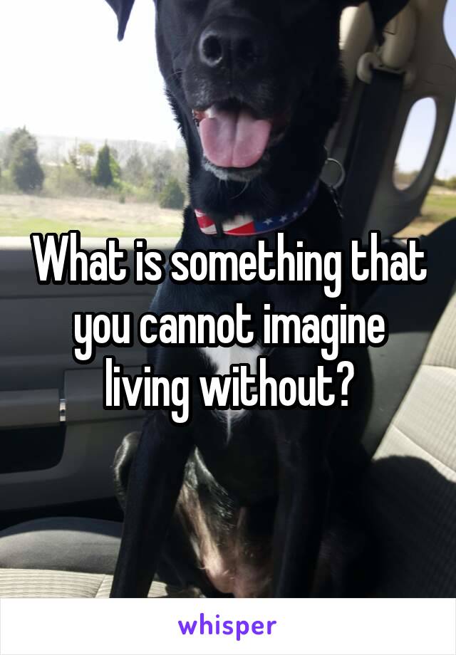 What is something that you cannot imagine living without?