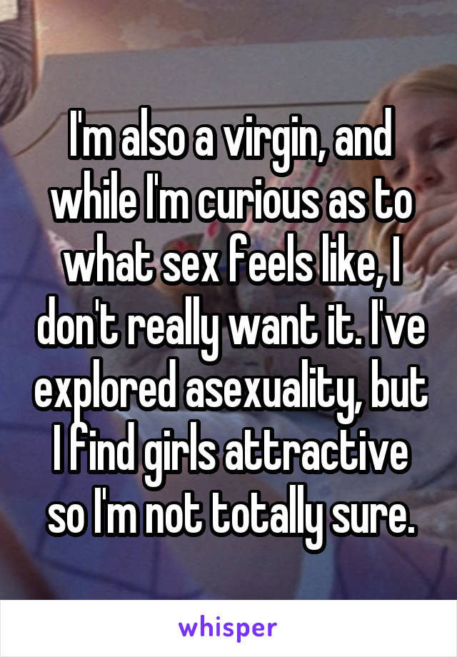 I'm also a virgin, and while I'm curious as to what sex feels like, I don't really want it. I've explored asexuality, but I find girls attractive so I'm not totally sure.