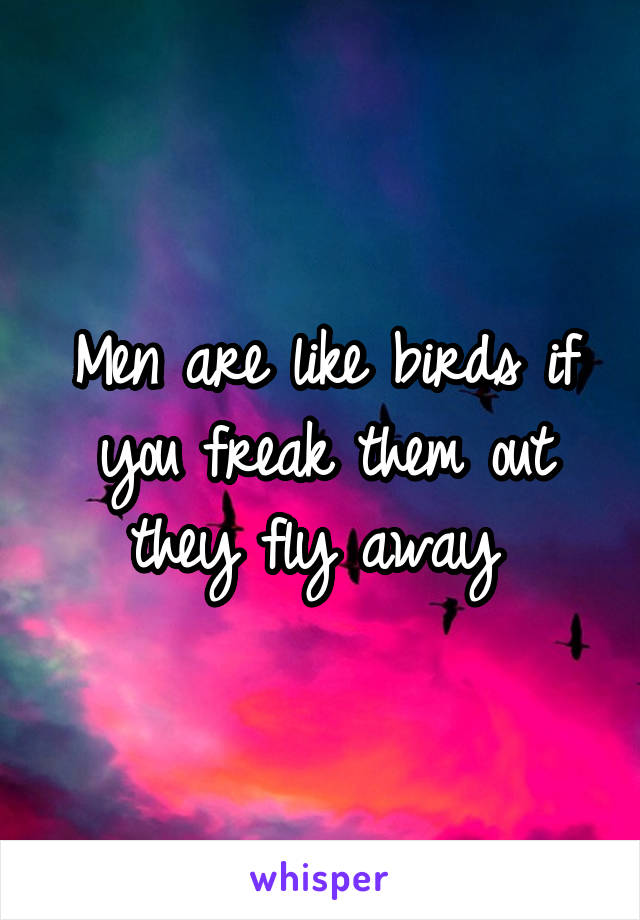 Men are like birds if you freak them out they fly away 