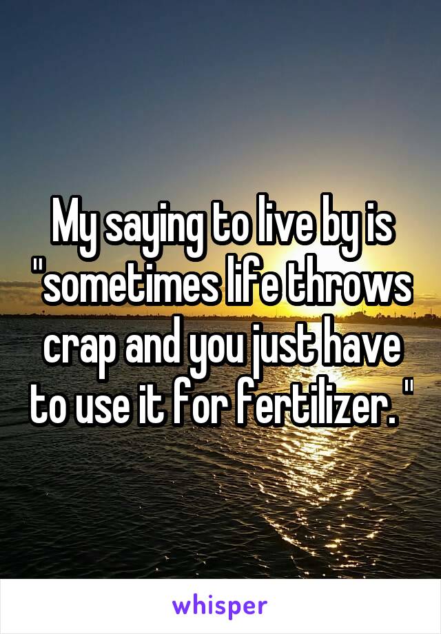 My saying to live by is "sometimes life throws crap and you just have to use it for fertilizer. "